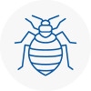 Bed Bug Extermination In Altrincham